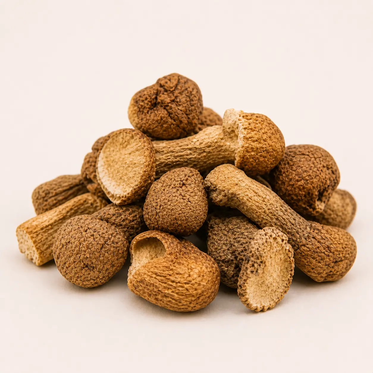 Agaricus Blazei Mushroom dried wholesale product