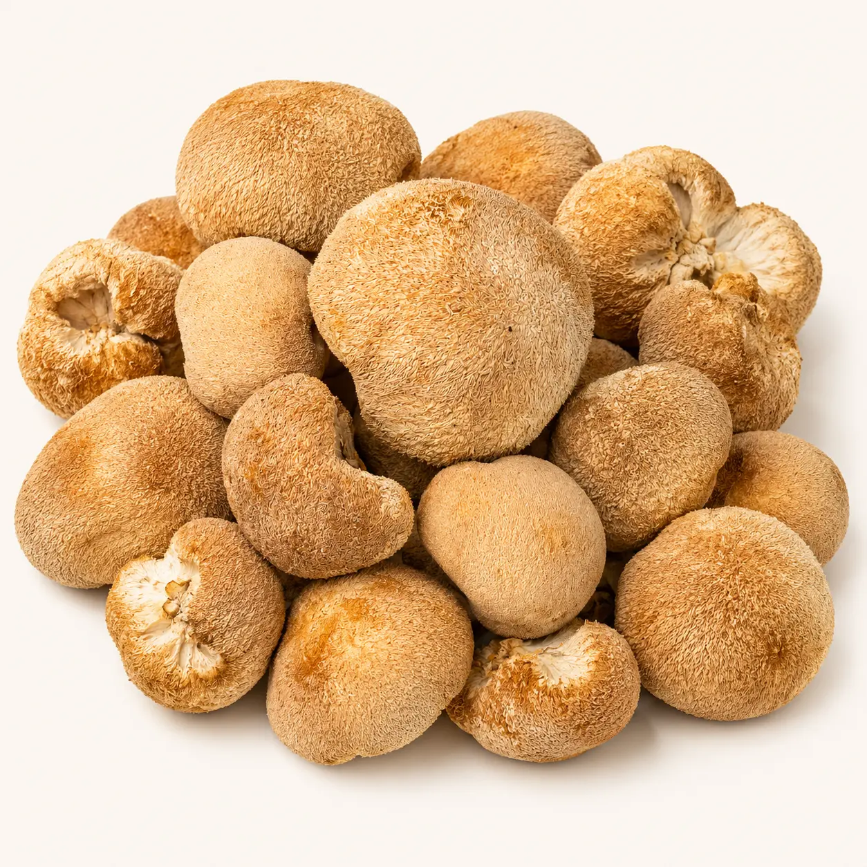 Lion’s Mane Mushroom dried wholesale product
