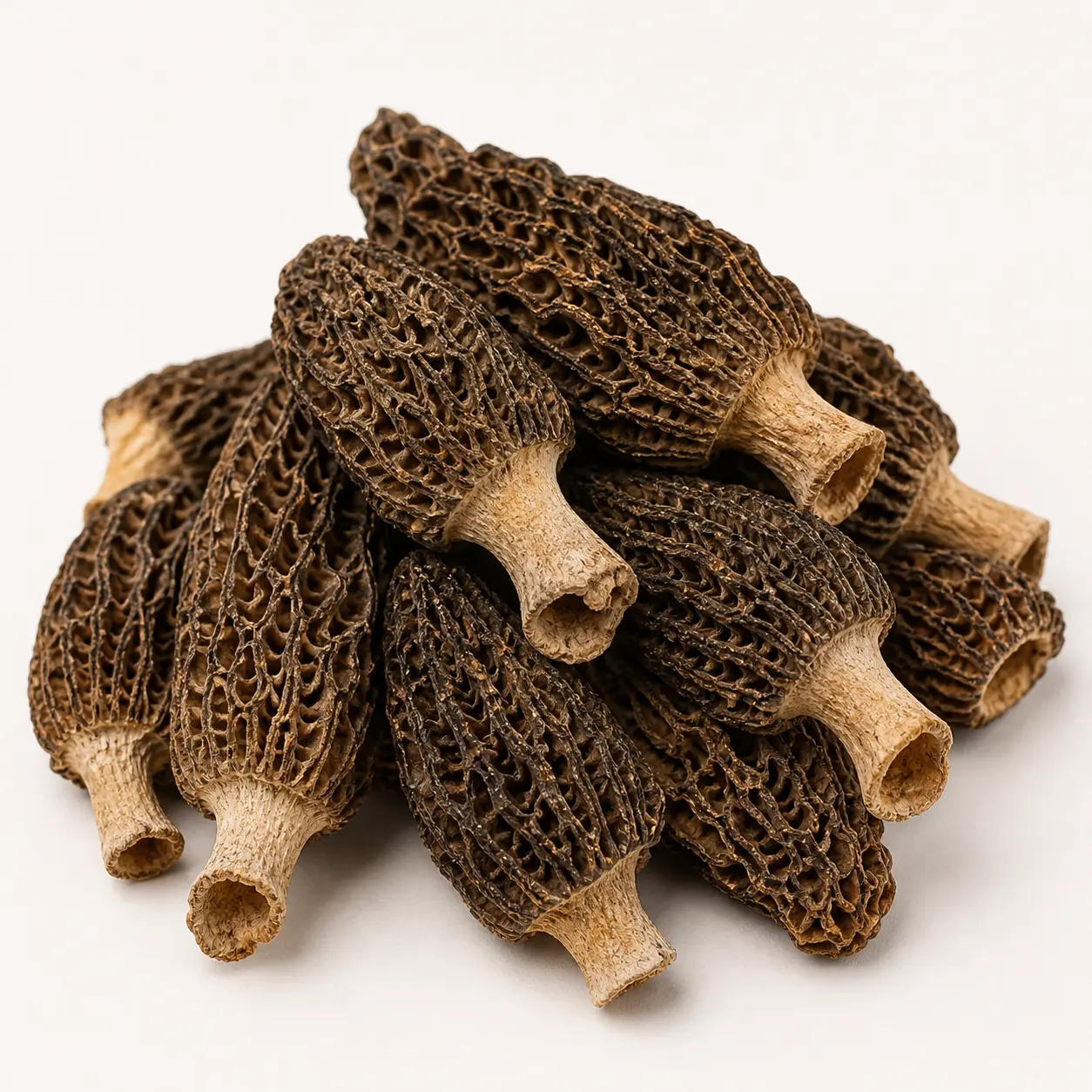 Morel Mushroom Extra Large dried wholesale product