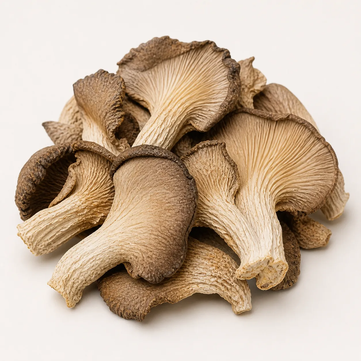 Oyster Mushroom dried wholesale product