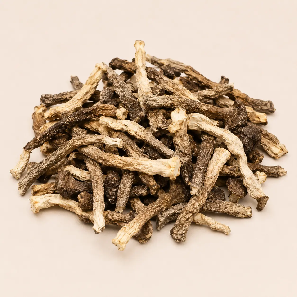 Tea Tree Mushroom dried wholesale product